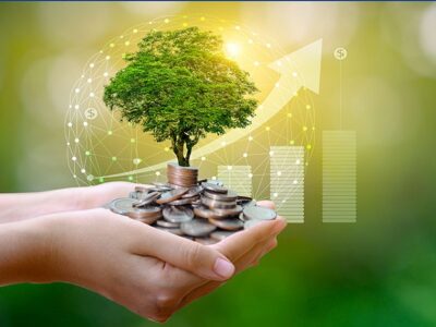 Values-Driven Wealth: A Strategic Guide to ESG Investment ESG Investment