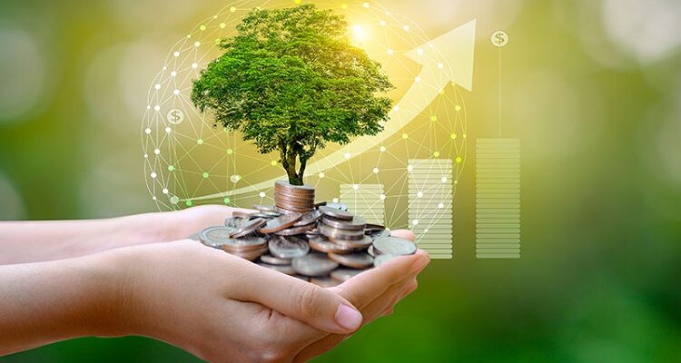 Values-Driven Wealth: A Strategic Guide to ESG Investment ESG Investment